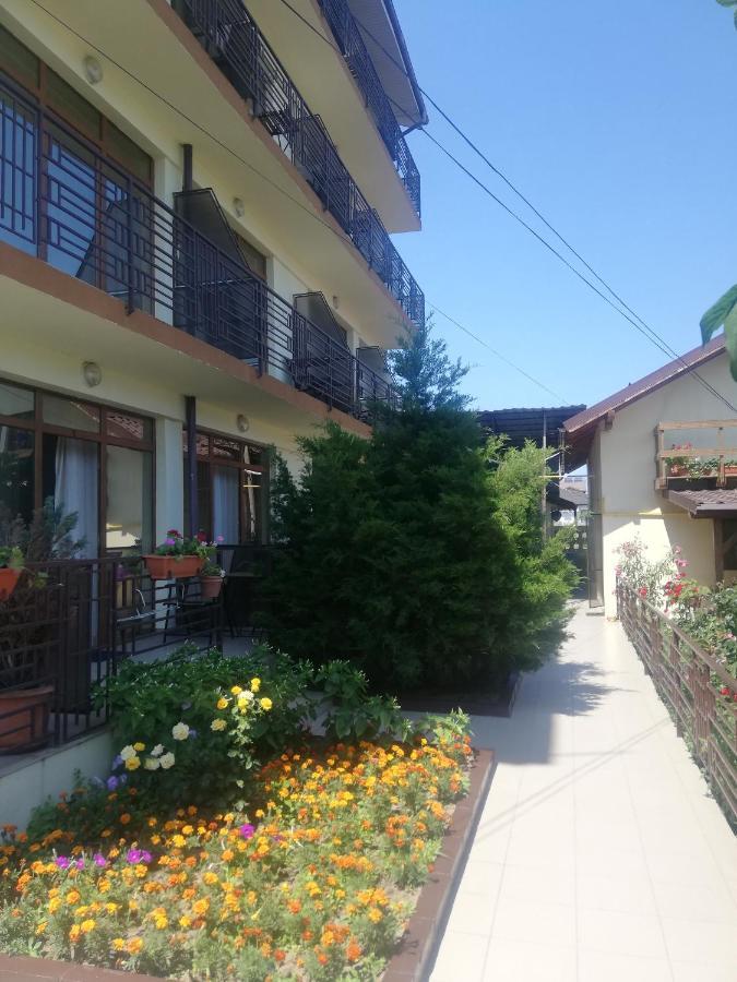 Villa Pescarus Костинешти Экстерьер фото