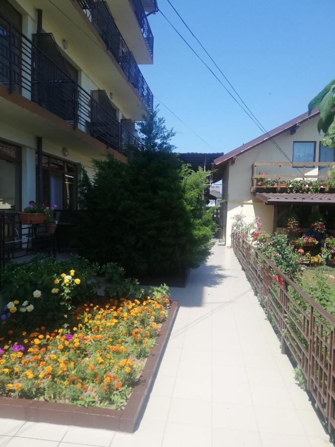 Villa Pescarus Костинешти Экстерьер фото